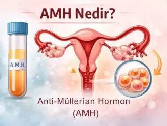 AMH Nedir?