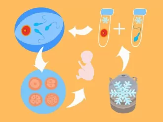 Yumurta Dondurma Kararı Verirken Nelere Dikkat Edilmeli?